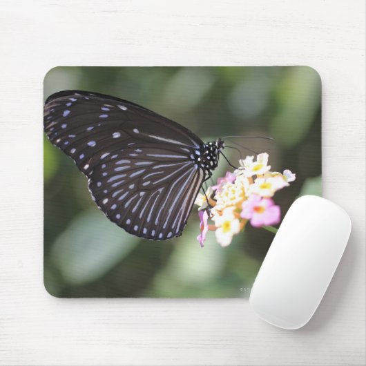 Hodokubo, Hino, Tokio, Japan 5 Mousepad (Mit Mouse)