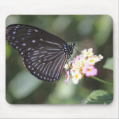 Hodokubo, Hino, Tokio, Japan 5 Mousepad (Vorne)