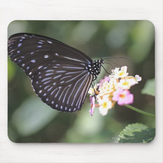 Hodokubo, Hino, Tokio, Japan 5 Mousepad (Vorne)