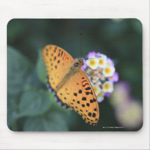 Hodokubo, Hino, Tokio, Japan Mousepad