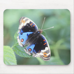 Hodokubo, Hino, Tokyo, Japan 4 Mousepad