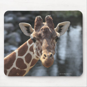 Hodokubo, Hino, Tokyo, Japan 6 Mousepad