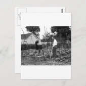 Hoe Down: 1926 Postkarte (Vorne/Hinten)