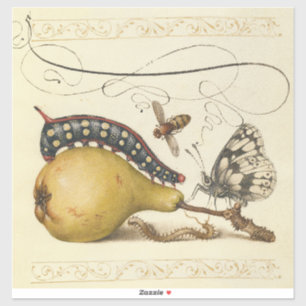 Hoefnagel Vintage Birne & Insekten 1500er Renaissa Aufkleber