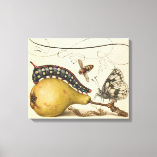 Hoefnagel Vintage Birne & Insekten 1500er Renaissa Leinwanddruck