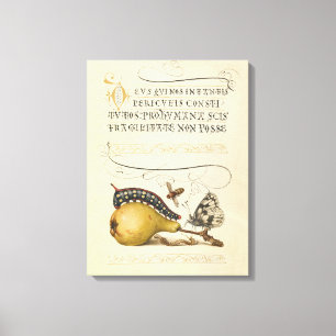 Hoefnagel Vintage Birne & Insekten 1500er Renaissa Leinwanddruck
