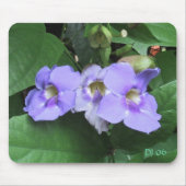 Hof-Blumen, DJ 06 Mousepad (Vorne)