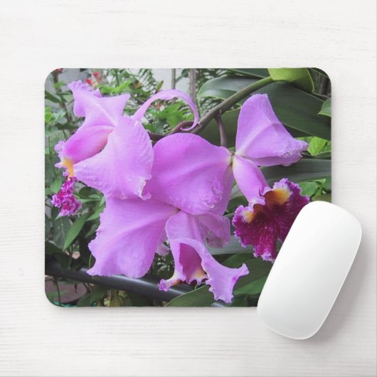 Hof-Blumen, DJ 06 Mousepad (Mit Mouse)