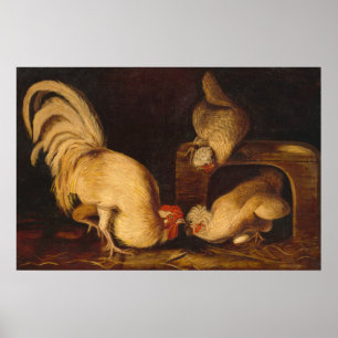 Hof Fowls, John James Audubon Art Poster