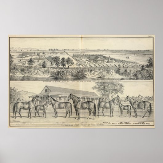 Hof T Winters Poster (Vorne)