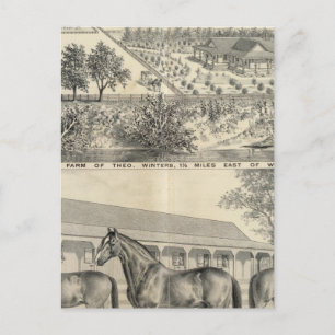 Hof T Winters Postkarte