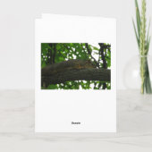 Hoffe, dass du dich bald besser fühlst, bekommst e karte (Rückseite)