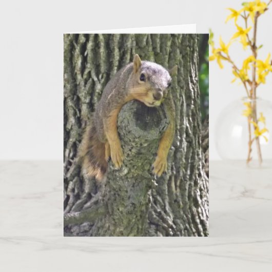 Hoffe, dass du dich bald besser fühlst, lustiges E Karte (Gelbe Blume)