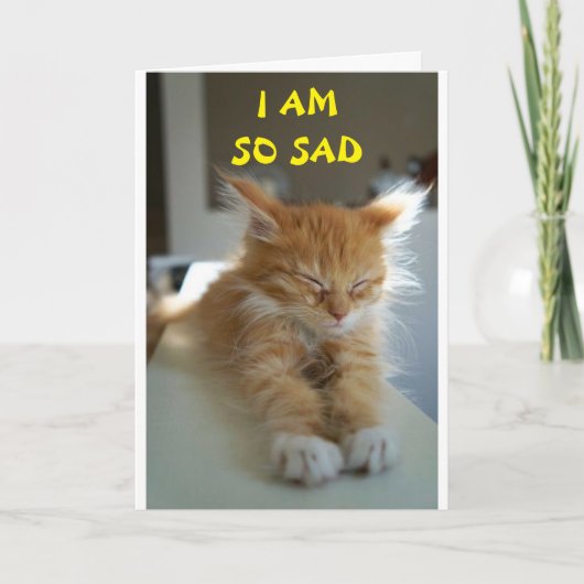 **HOFFE, DASS SIE BESSER GEFÜHL SIND** KARTE (Vorderseite)