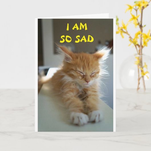 **HOFFE, DASS SIE BESSER GEFÜHL SIND** KARTE (Gelbe Blume)