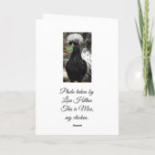 Hoffe, dein Geburtstag ist eiskalt, lustig Karte (Rückseite)