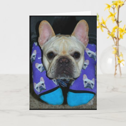 Hoffe, dein Weihnachten ist froh, Hund geworden! Karte (Gelbe Blume)