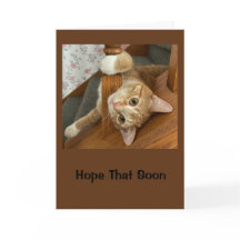 Hoffe, du bist Gefühl Purr-perfekt schön!