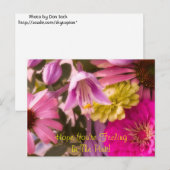 Hoffe, du fühlst dich im Rosa! Postkarte (Vorne/Hinten)