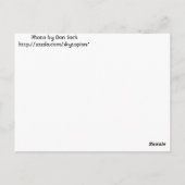 Hoffe, du fühlst dich im Rosa! Postkarte (Rückseite)