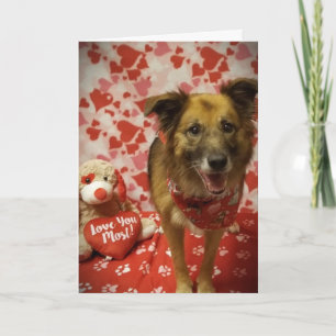 **HOFFE, DU SAGST JA ZU MEINER FRAGE** VALENTINSTA KARTE