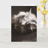 Hoffen, dass die Dinge nach oben blicken/denken Si Karte (Gelbe Blume)