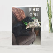 HOFFEN, DASS SIE BESSER GEFÜHL SIND KARTE (Vorderseite)