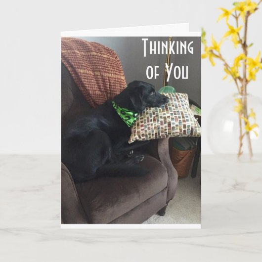 HOFFEN, DASS SIE BESSER GEFÜHL SIND KARTE (Gelbe Blume)