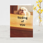 HOFFEN, DASS SIE SICH BALD "BESSER" FÜHLEN! KARTE (Gelbe Blume)