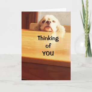 HOFFEN, DASS SIE SICH BALD "BESSER" FÜHLEN! KARTE