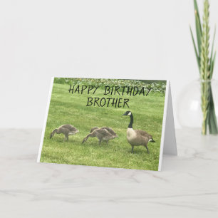 HOFFEN SIE, DASS IHR BIRTHTAG NUR "KÜCHE" BROTHER KARTE