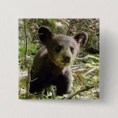 Hoffen Sie den Bärn-Knopf Button (Vorderseite)