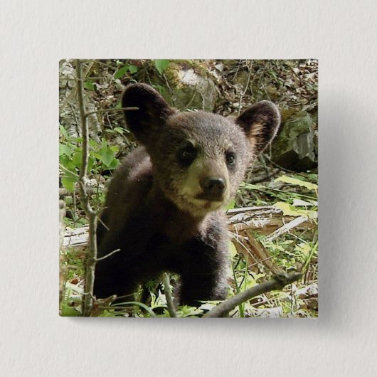 Hoffen Sie den Bärn-Knopf Button (Vorderseite)