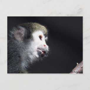 "Hoffentlich" Postkarte