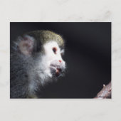 "Hoffentlich" Postkarte (Vorderseite)