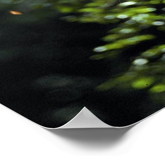 Hoffmanns doppelzackige Faulheit Poster (Ecke)