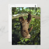 Hoffmanns doppelzackige Faulheit Postkarte (Vorne/Hinten)