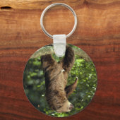 Hoffmanns doppelzackige Faulheit Schlüsselanhänger (Vorderseite)