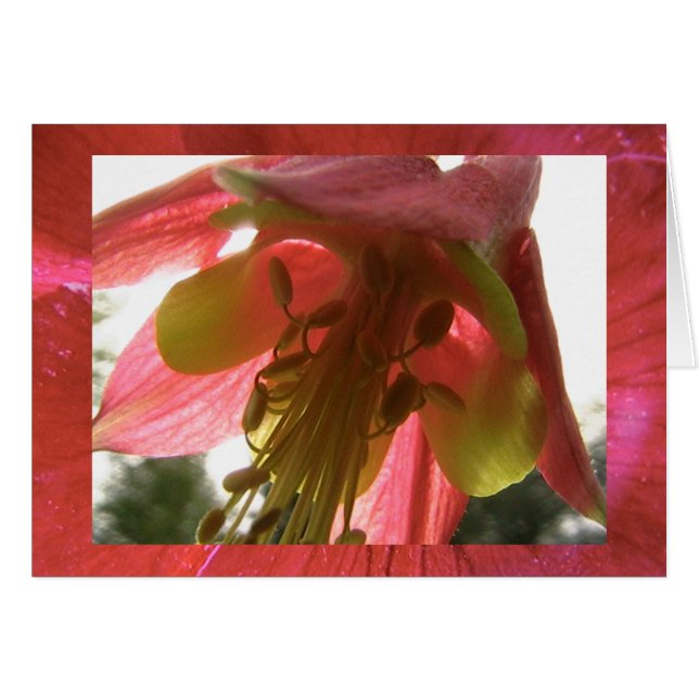 Hoffnung (Vorderseite (Horizontal))