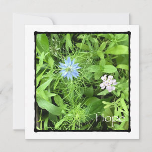 Hoffnung 5,25 x 5,25 Platz Karte