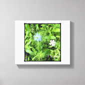 Hoffnung 8 x 10 leinwanddruck (Vorderseite)