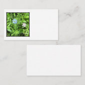 Hoffnung Begleitkarte (Vorne/Hinten)