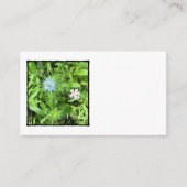 Hoffnung Begleitkarte (Vorderseite)