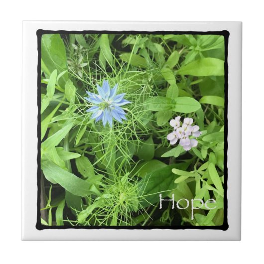 Hoffnung Fliese (Vorderseite)