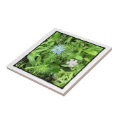 Hoffnung Fliese (Seite)