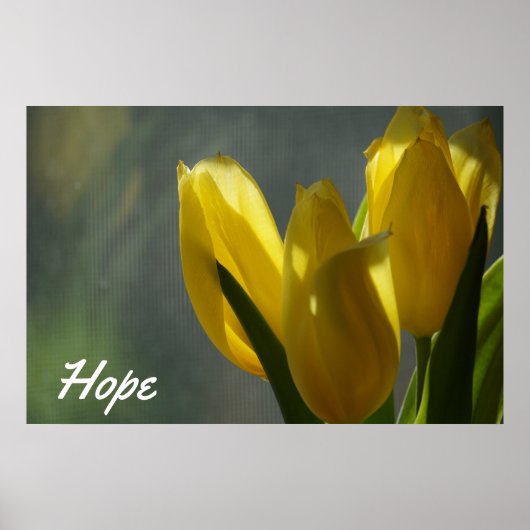 Hoffnung - Gelbe Tulip Blume Poster (Vorne)