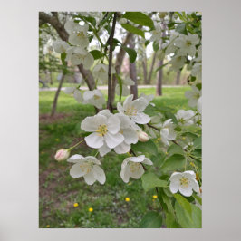 Hoffnung ist nahe poster