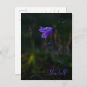 Hoffnung ist wie ein Harebell CC0229 Postkarte (Vorne/Hinten)