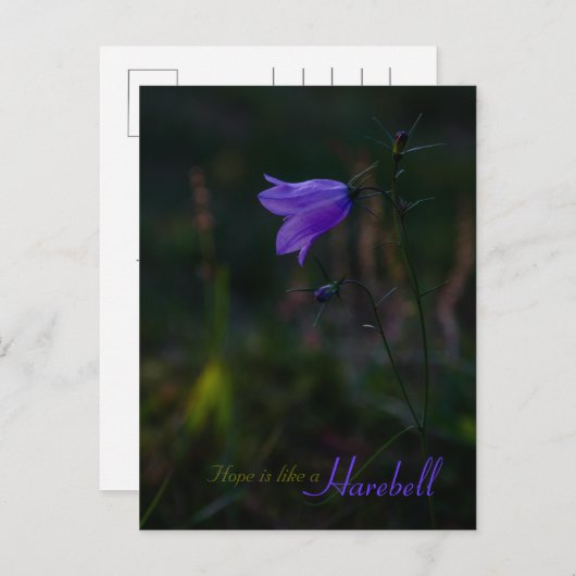 Hoffnung ist wie ein Harebell CC0229 Postkarte (Vorne/Hinten)