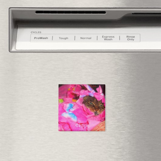 Hoffnung Magnet (In Situ (Geschirrspüler))